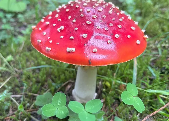 Nr 22 Haus Voglreiter