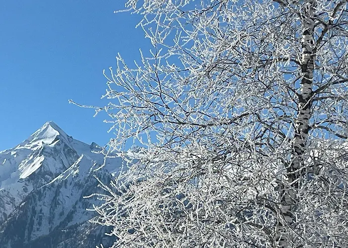 アパート Nr 22 Haus Voglreiter