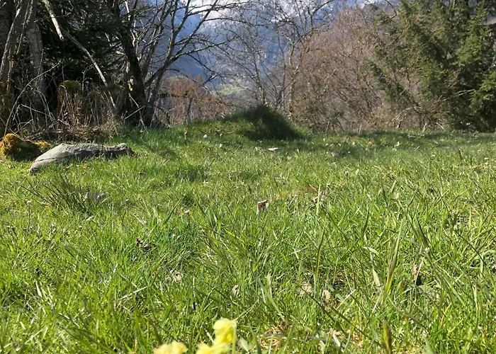 Nr 22 Haus Voglreiter *