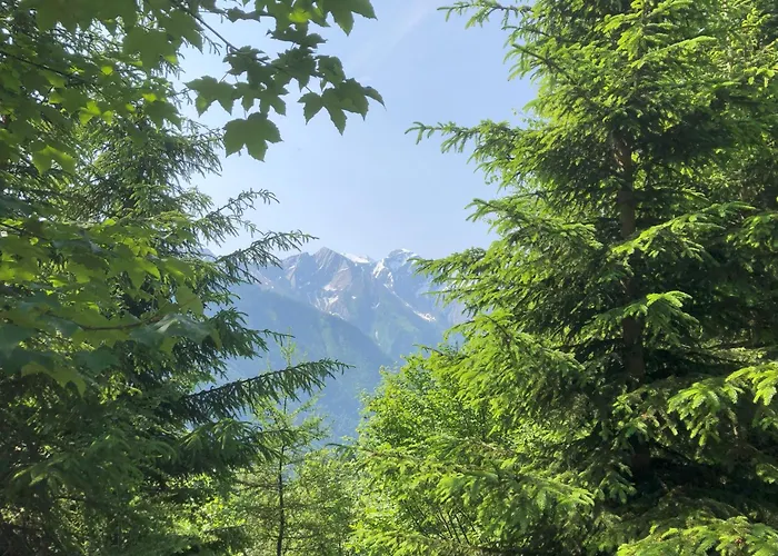 Nr 22 Haus Voglreiter * カプルーン